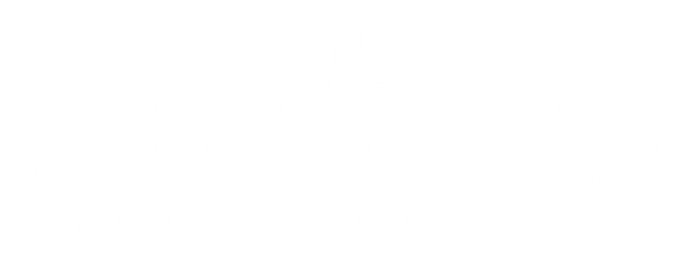 Logos Silkey-05